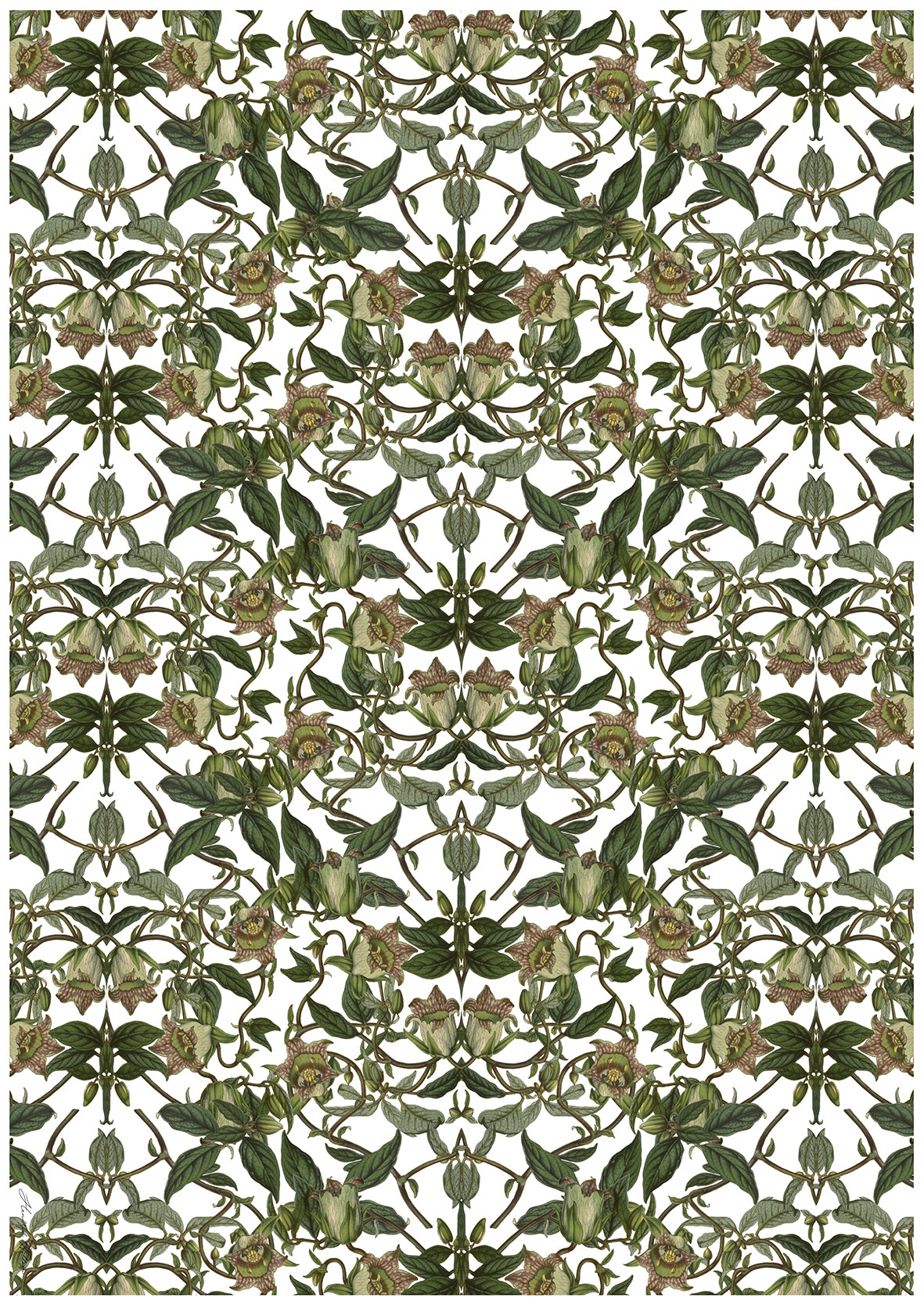 Wrapping Paper combo