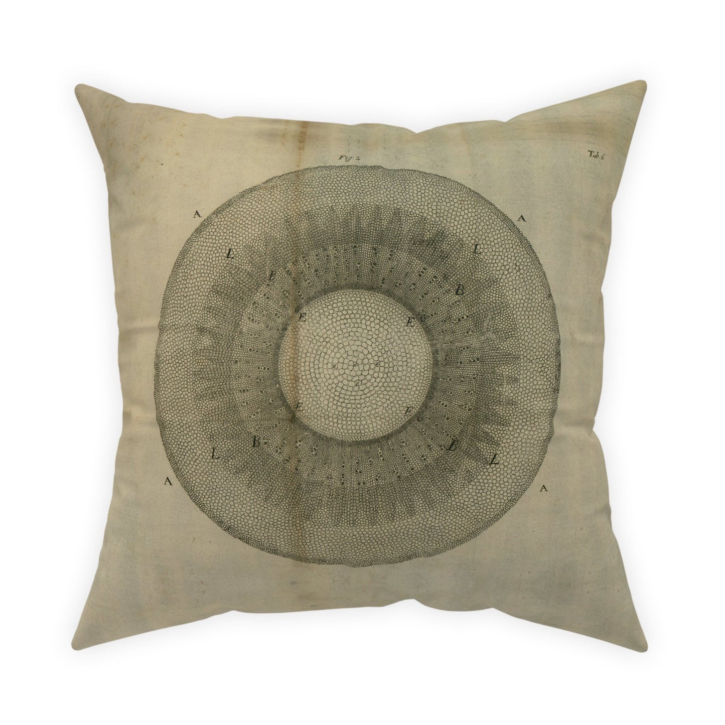 Baluli Scatter Cushion - 60cm