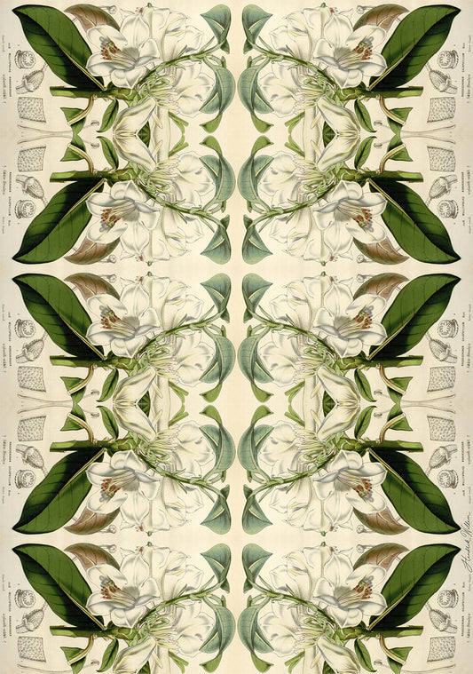 Wrapping Paper classic Botanicals