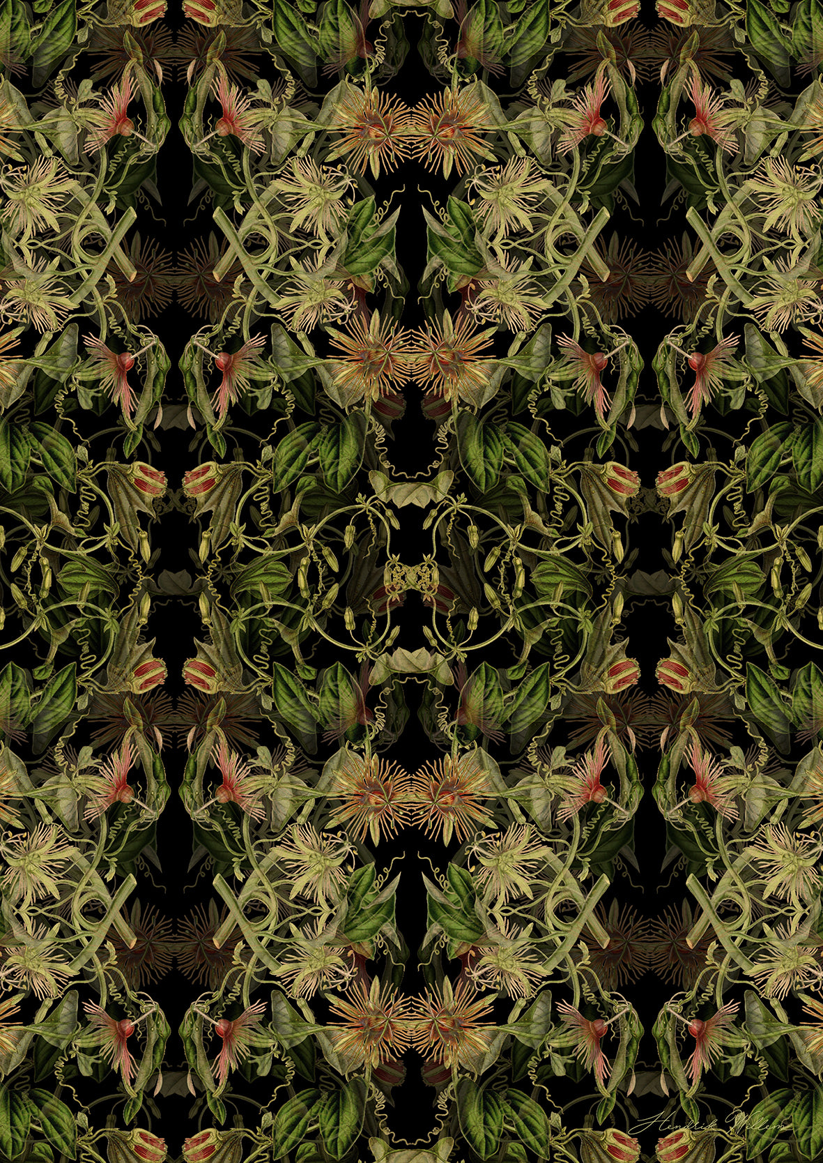 Wrapping Paper combo