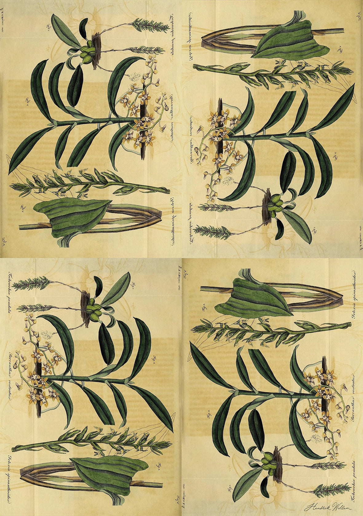 Wrapping Paper combo