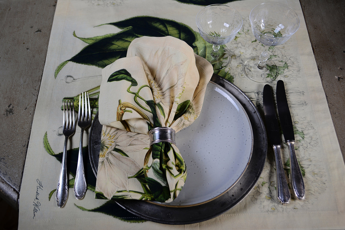 Napkins - set of 2