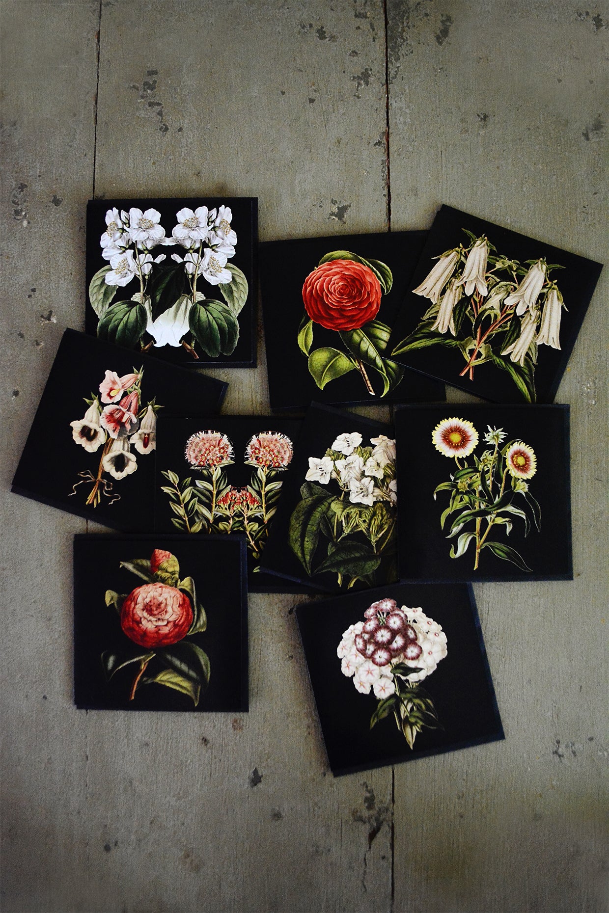 Square Cards - pack of 10 (Black Collection)