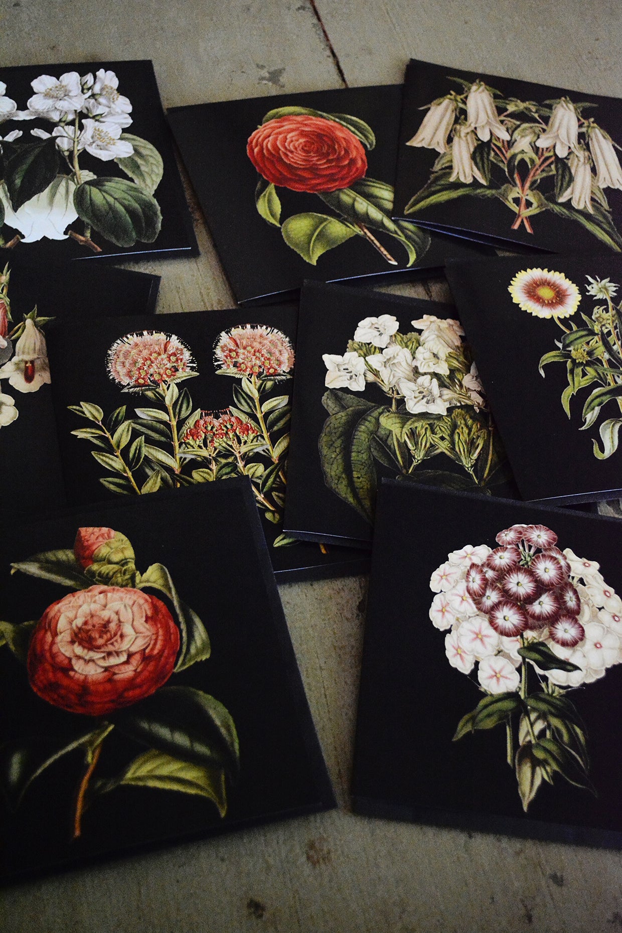 Square Cards - pack of 10 (Black Collection)