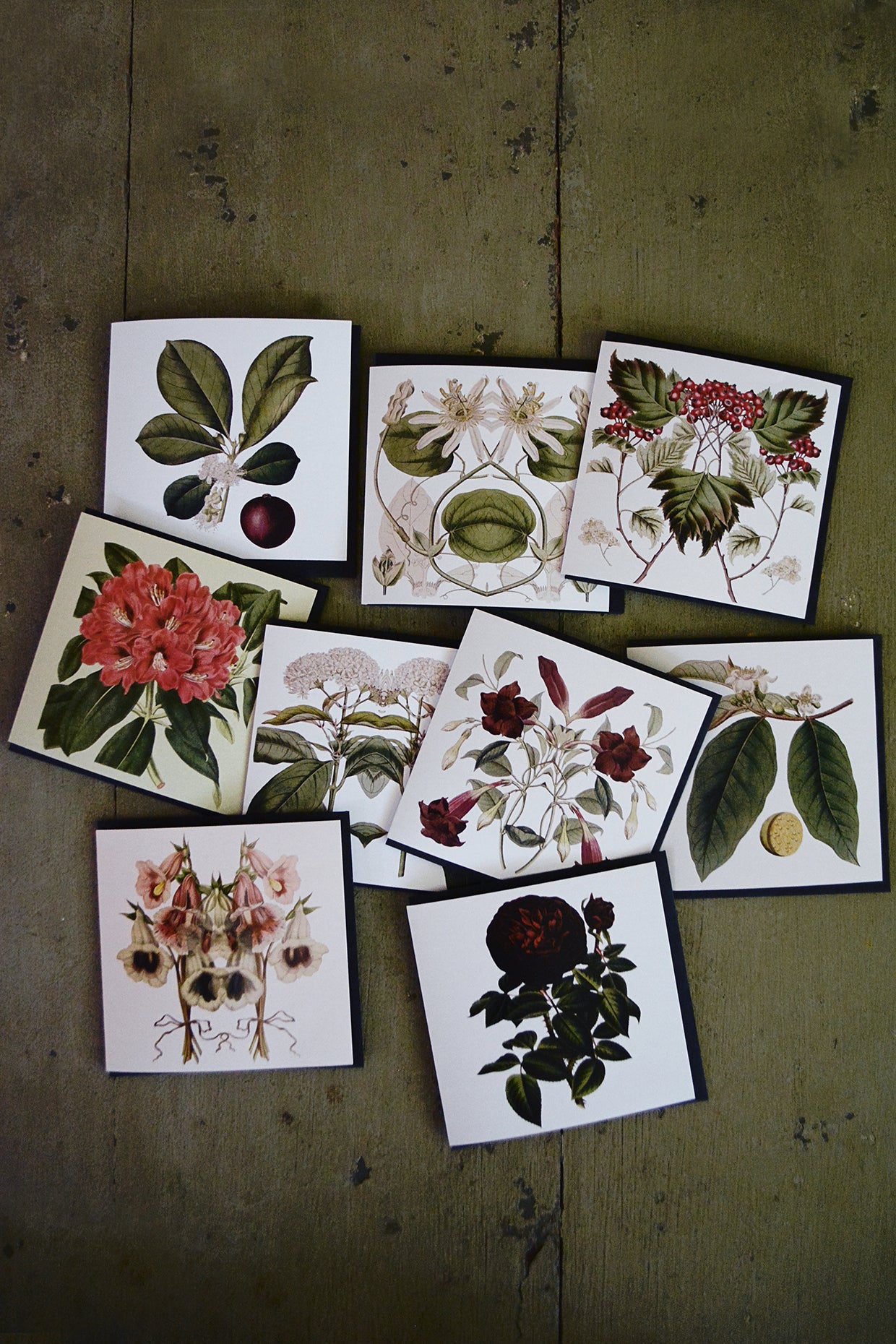 Square Cards - pack of 10(White Collection)