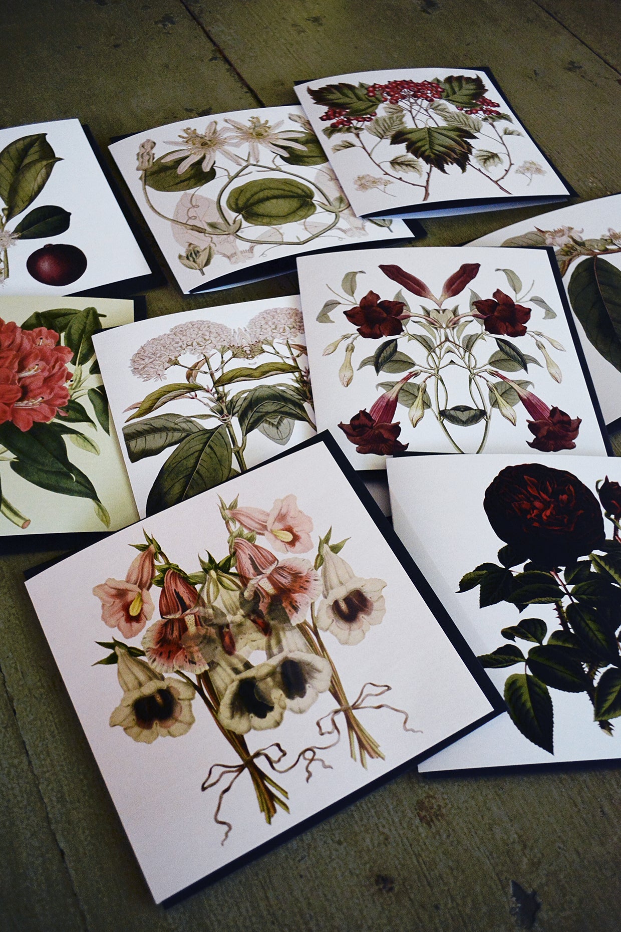 Square Cards - pack of 10(White Collection)