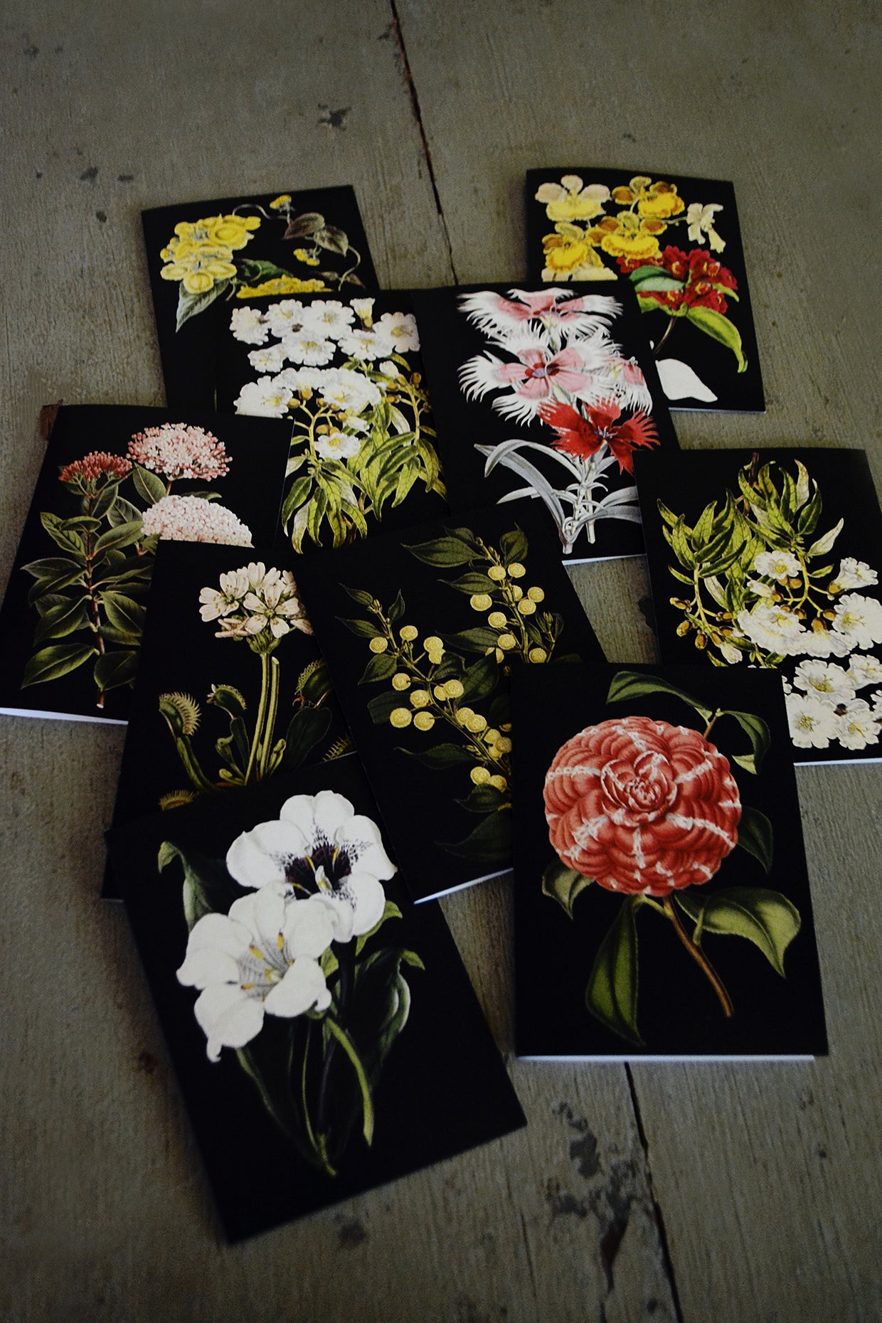 C6 Rectangular Cards - set of 10(Black Collection)