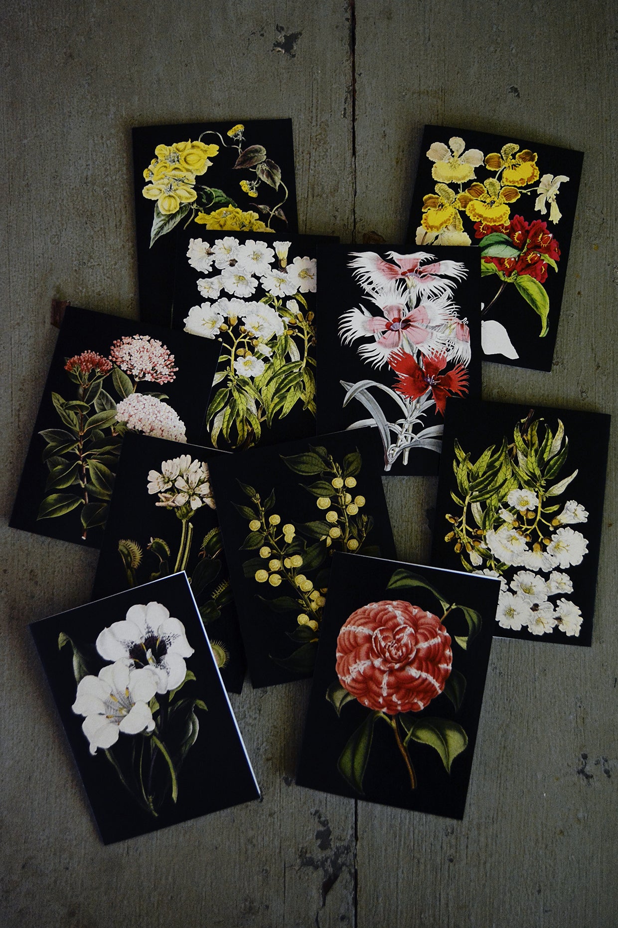 C6 Rectangular Cards - set of 10(Black Collection)