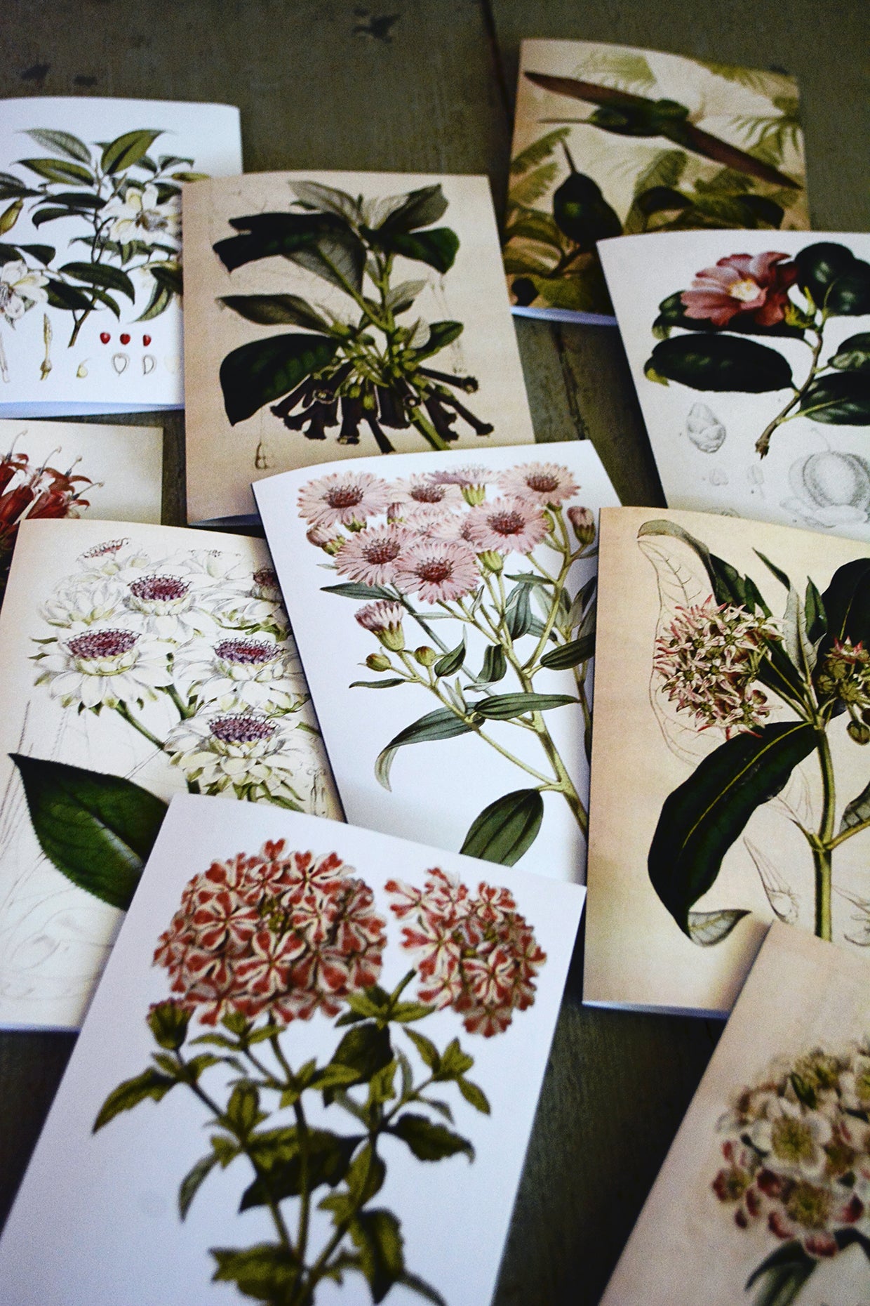 C6 Rectangular Cards - set of 10(Natural Collection)
