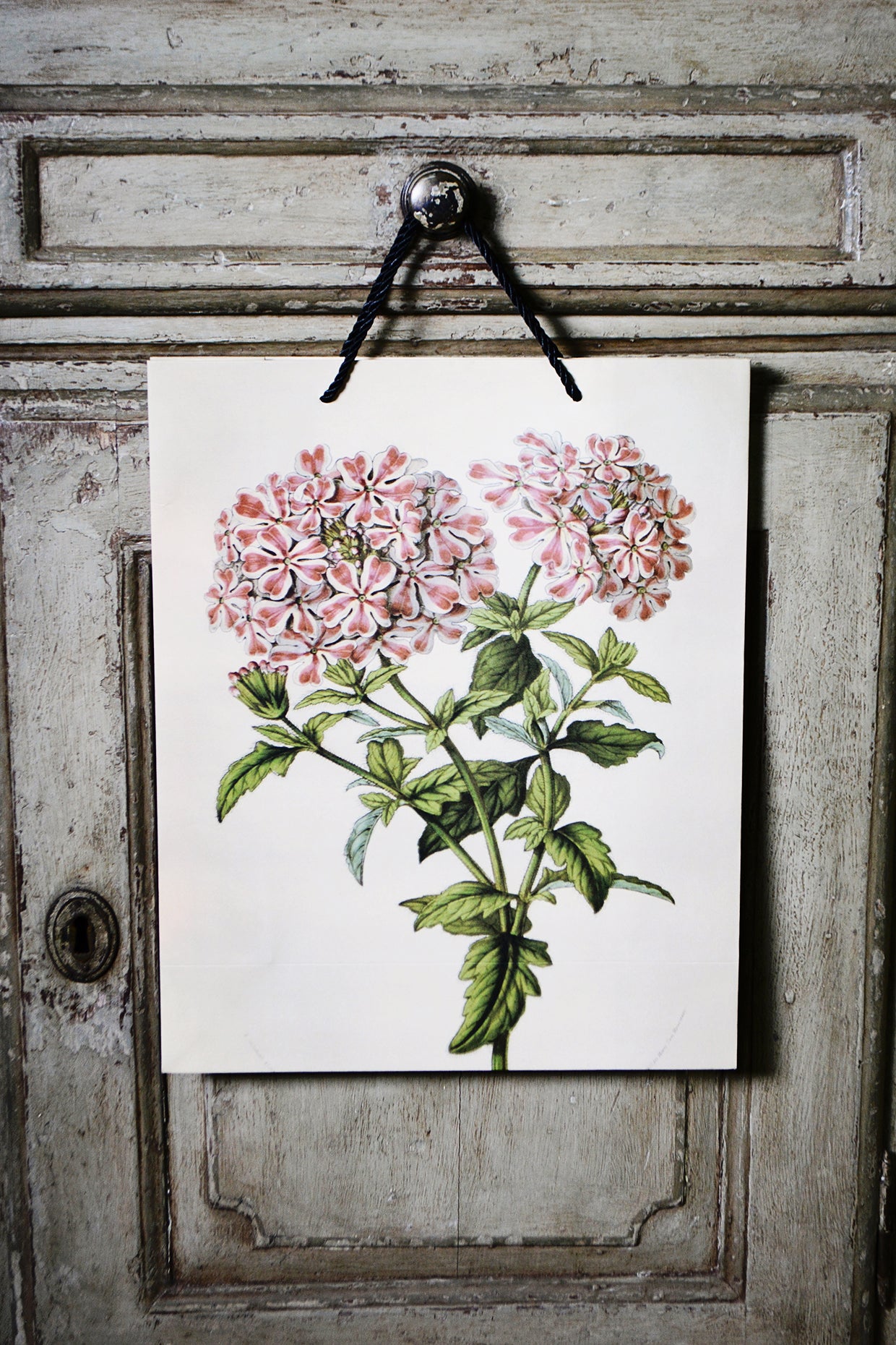 A3 botanical Gift Bag
