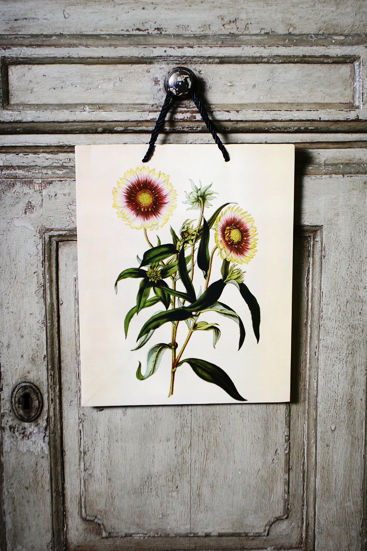 A4 Botanical Gift Bag