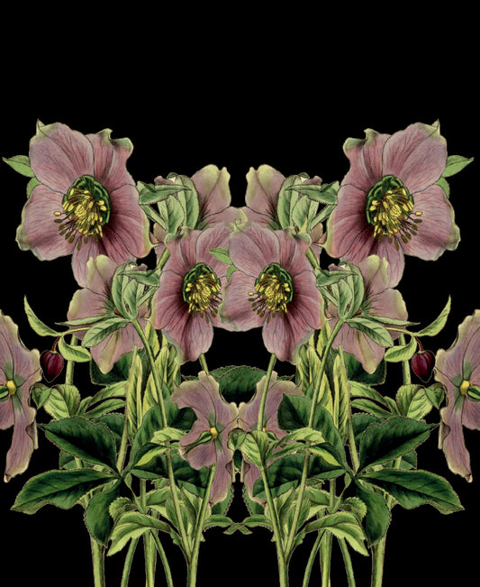 A4 Botanical Gift Bag