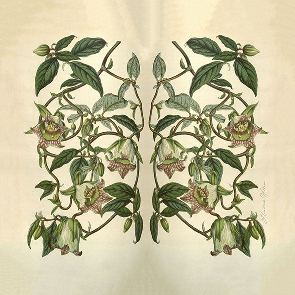 Napkins - Set of 2