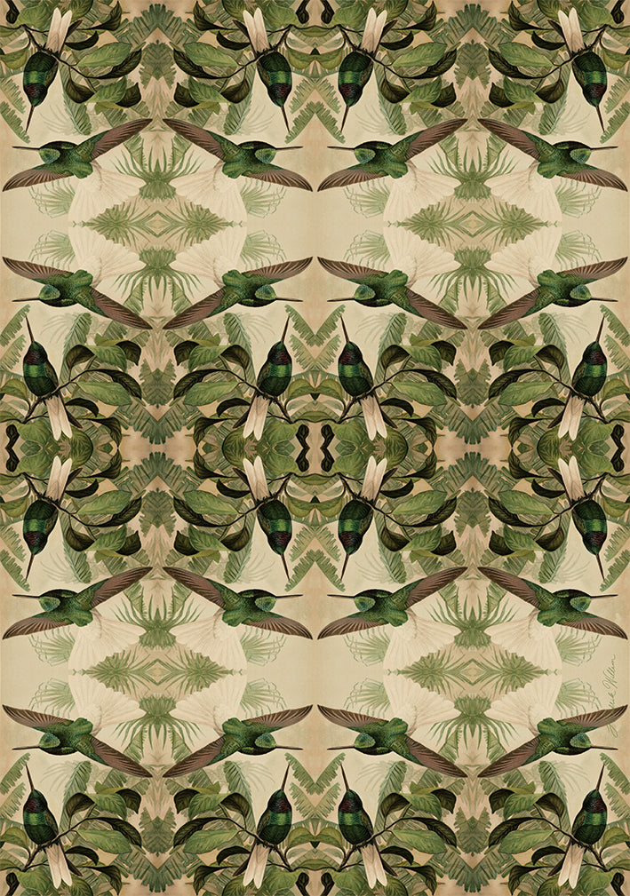 Wrapping Paper - "Suikerbekkie" x 10 Sheets