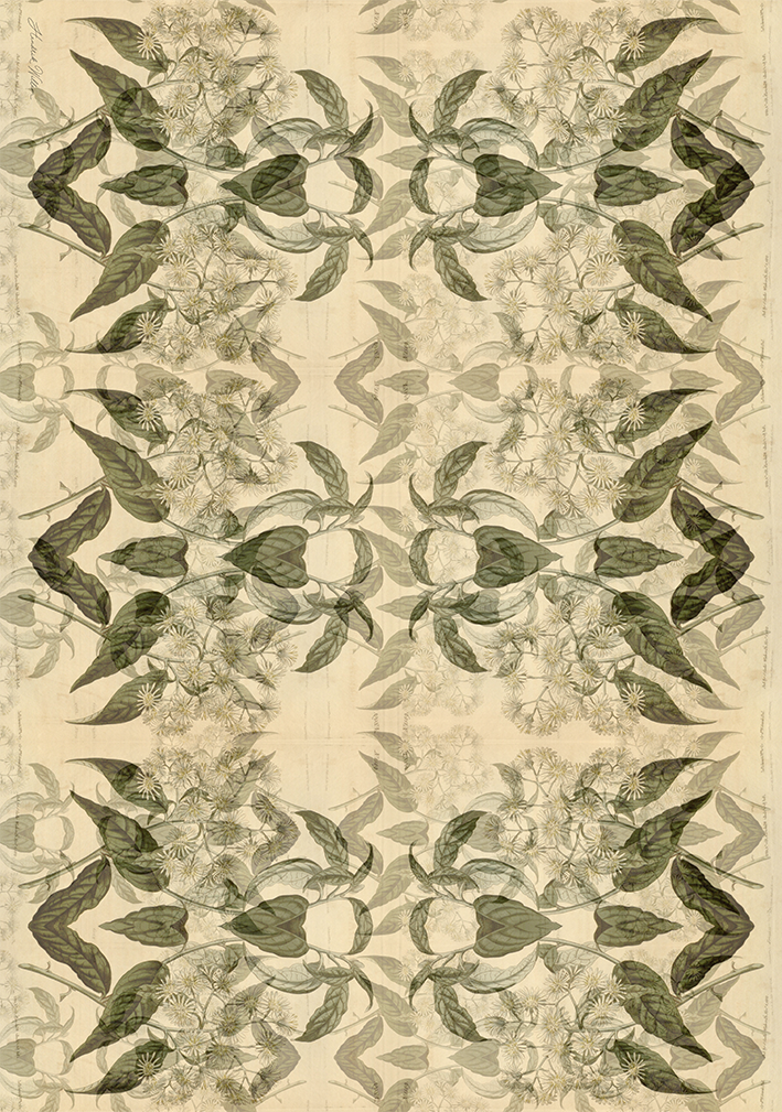 Wrapping Paper - cream x 10 Sheets