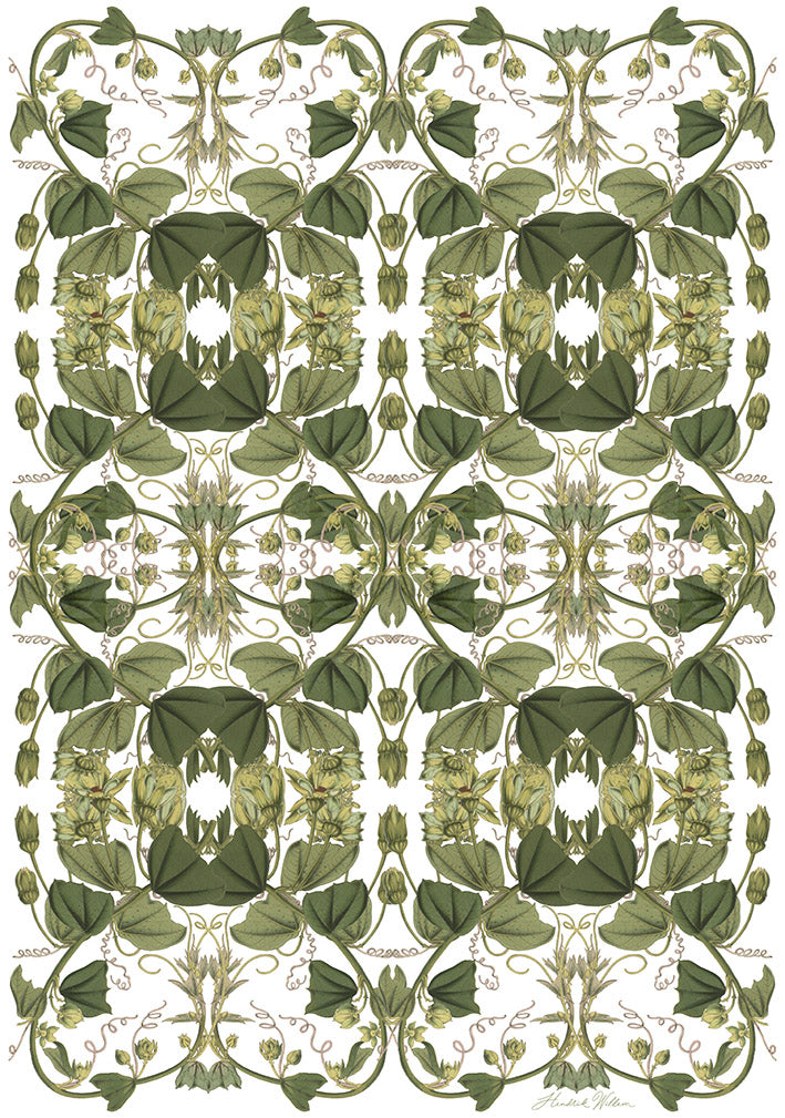 Wrapping Paper - White x 10 Sheets