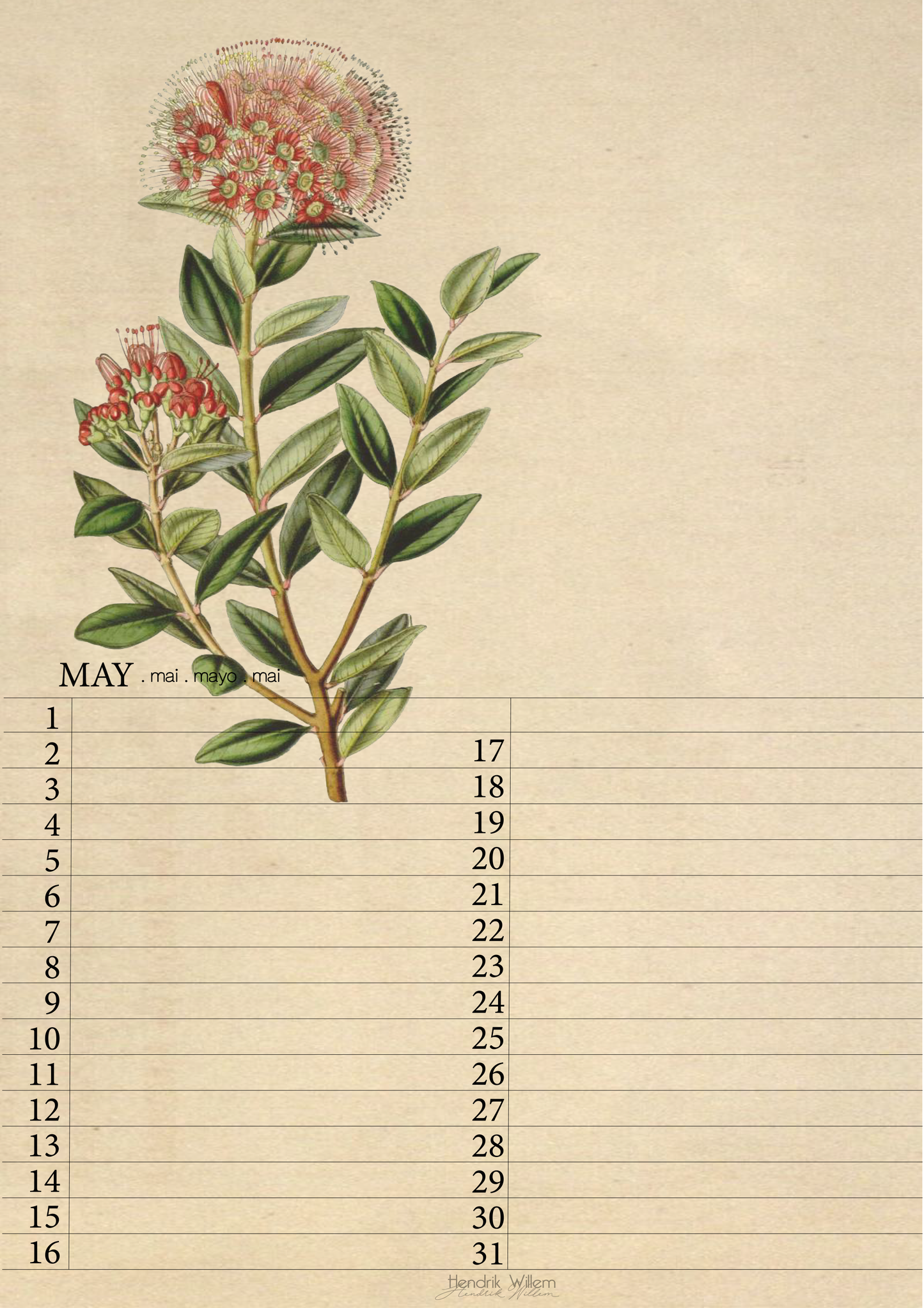 Perpetual Calendar (Digital Download)