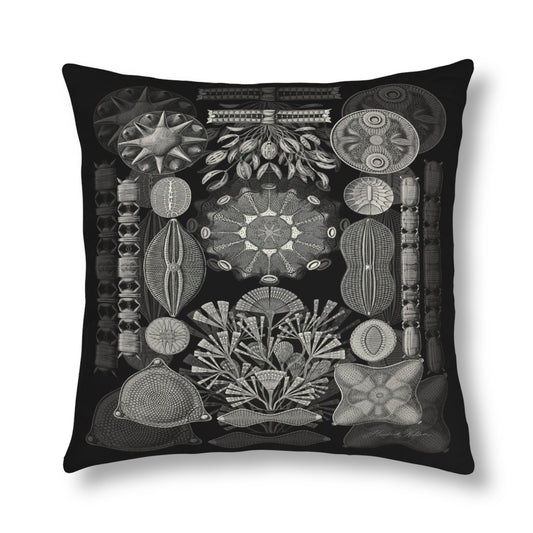 Ernest Haeckel Scatter Pillow