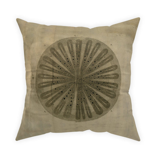 Baluli Scatter Cushion - 60cm