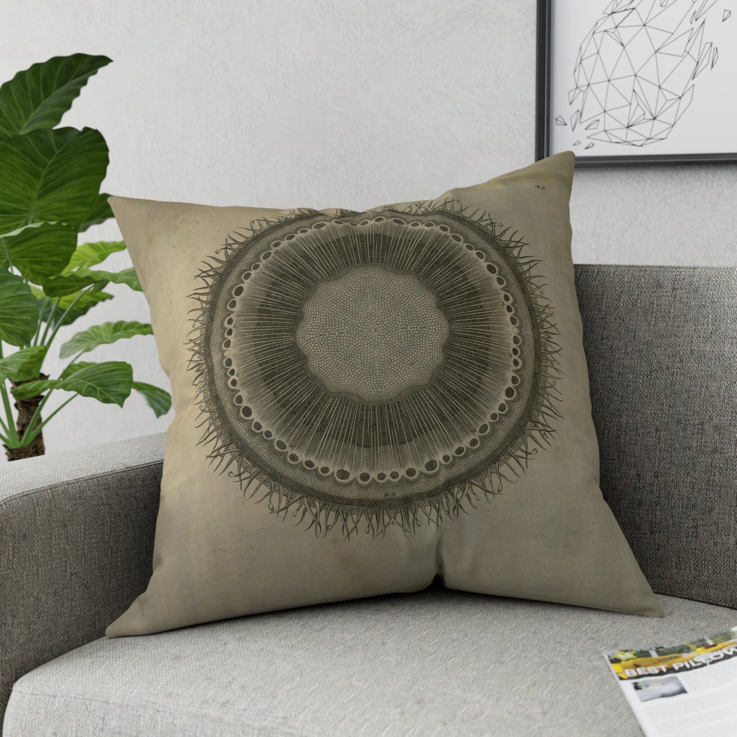 Baluli Scatter Cushion - 60cm