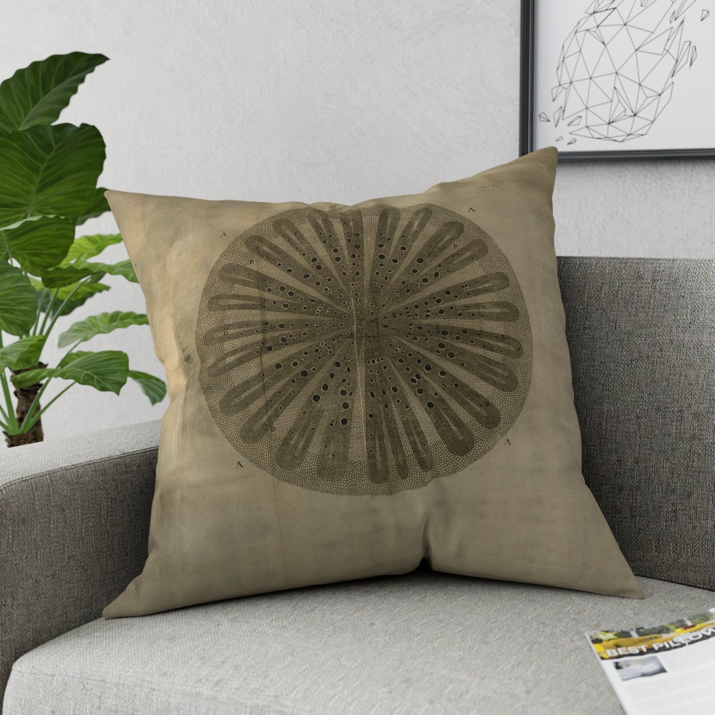 Baluli Scatter Cushion - 60cm