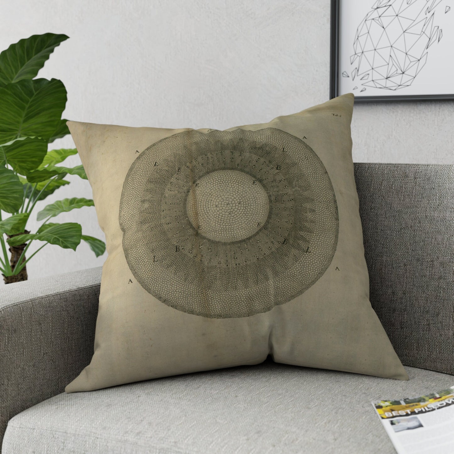 Baluli Scatter Cushion - 70cm