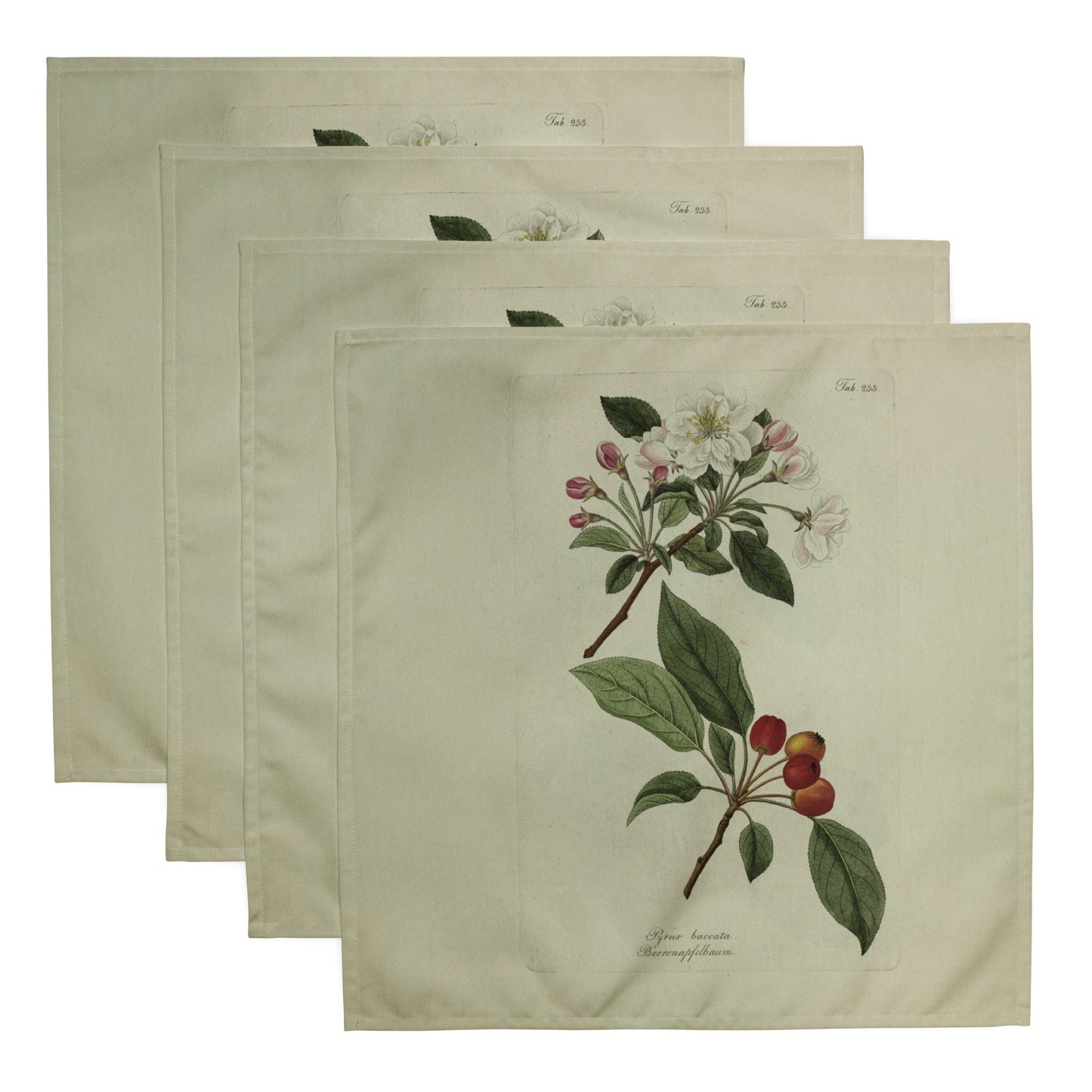 Colourful Botanical Napkin Set