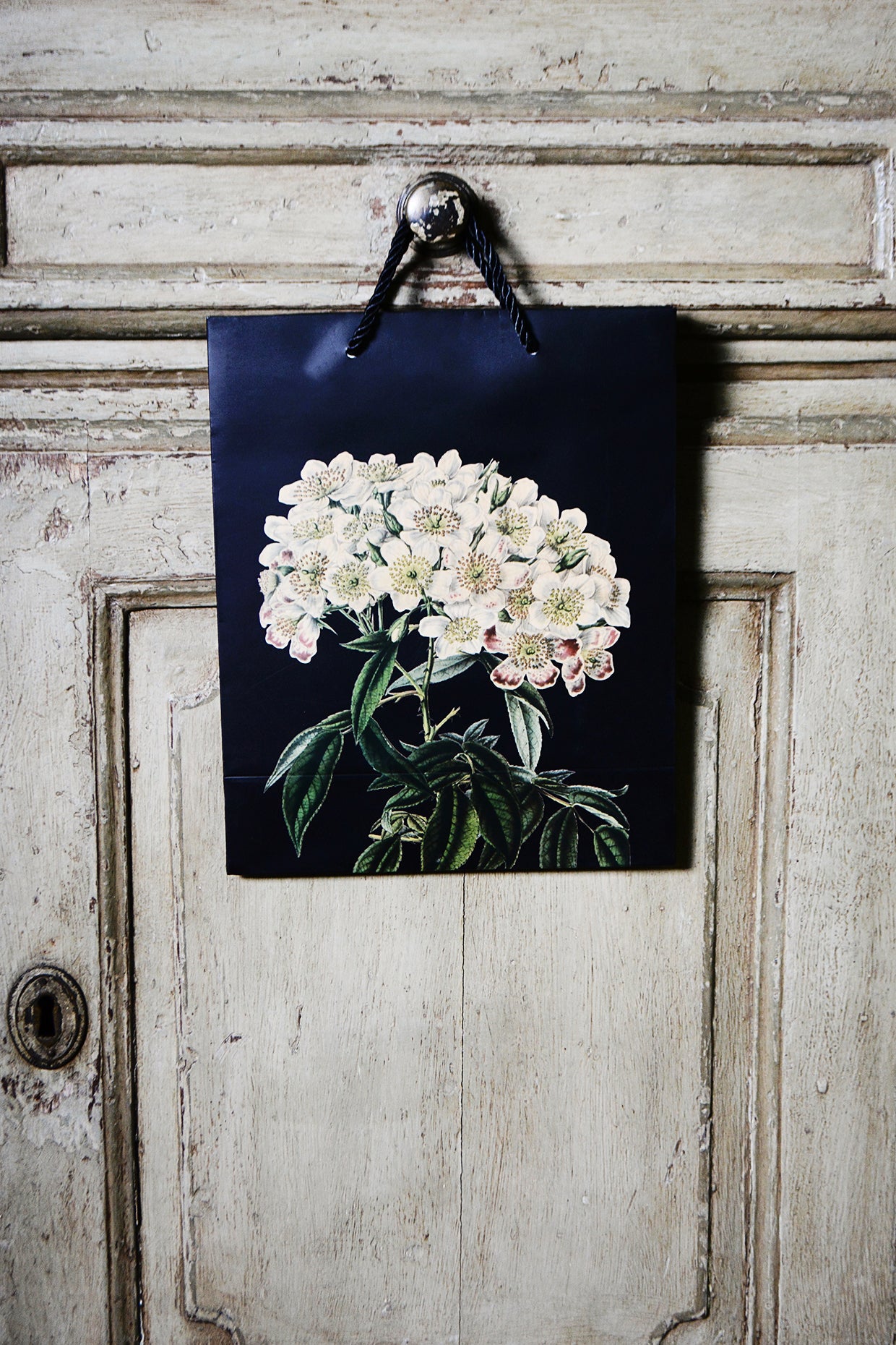 A5 Botanical Gift Bag