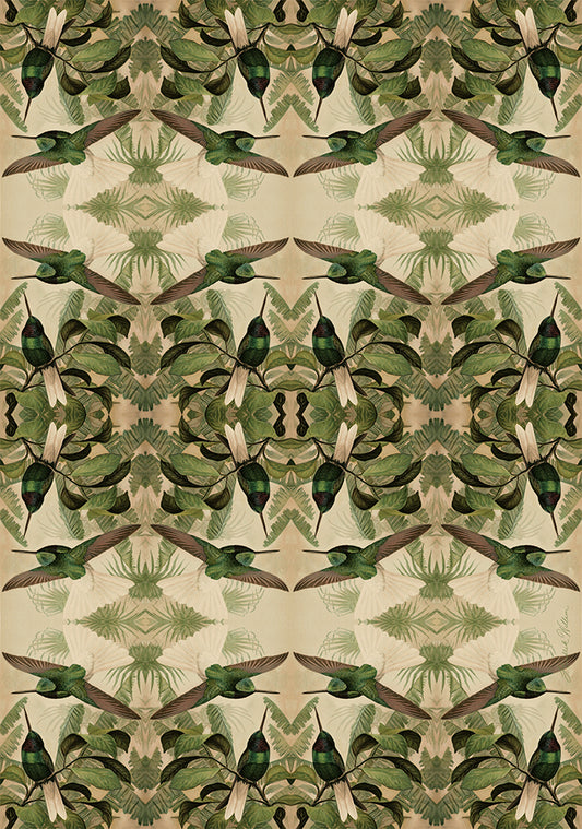 Wrapping Paper - "Suikerbekkie" x 10 Sheets