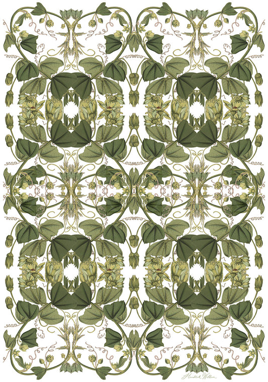 Wrapping Paper - White x 10 Sheets
